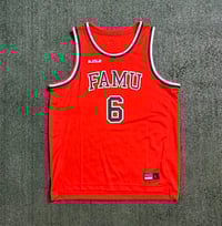 FAMU Jersey