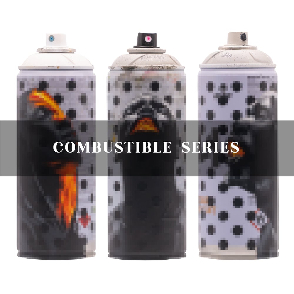 Mystery Custom Spray Can