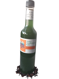 Image 1 of MONEY MANIFESTATION SPIRITUAL BATH/BODY WASH