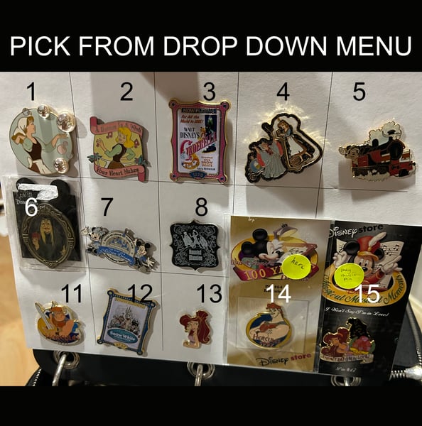 Image of Assorted open edition pins 3