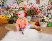 Image 19 of 4.18.25 & 4.19.25: Easter Mini Session - No bunnies