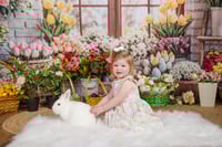 Image 25 of 4.18.25 & 4.19.25: Easter Mini Session - No bunnies