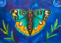 Moth
