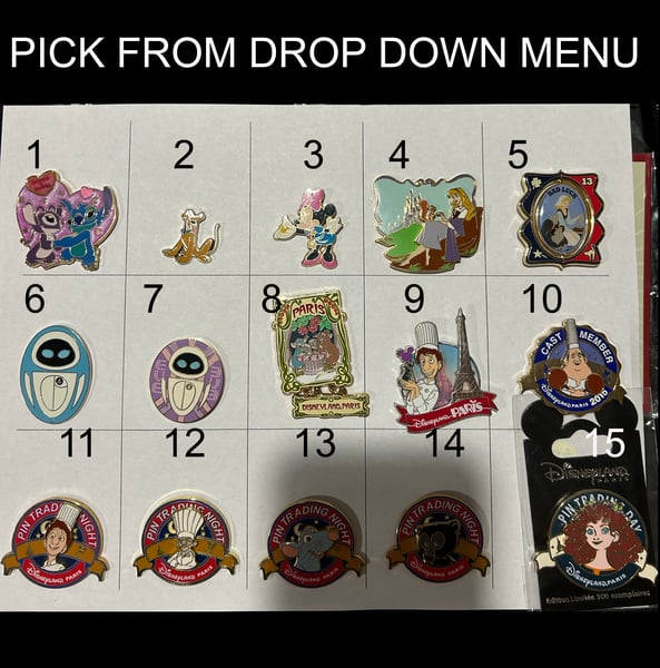 Image of Paris Pins