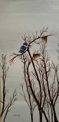 Image 1 of Little King Fisher