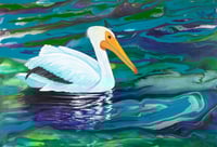Great White Pelican
