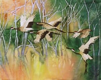 Taking Flight