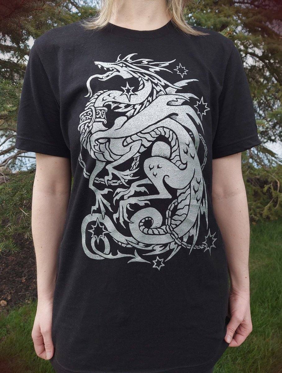 Dragon in Captivity T-Shirt | Vetiverfox Apparel