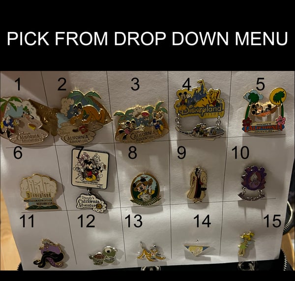 Image of assorted park pins 2