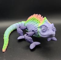 Image 1 of Chameleon Rainbow