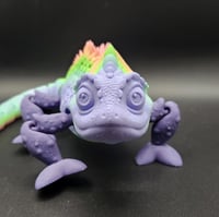 Image 2 of Chameleon Rainbow