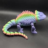 Image 3 of Chameleon Rainbow