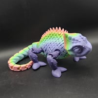 Image 4 of Chameleon Rainbow