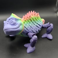 Image 5 of Chameleon Rainbow