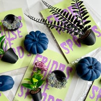 Image 1 of FHOS - Sample Sale