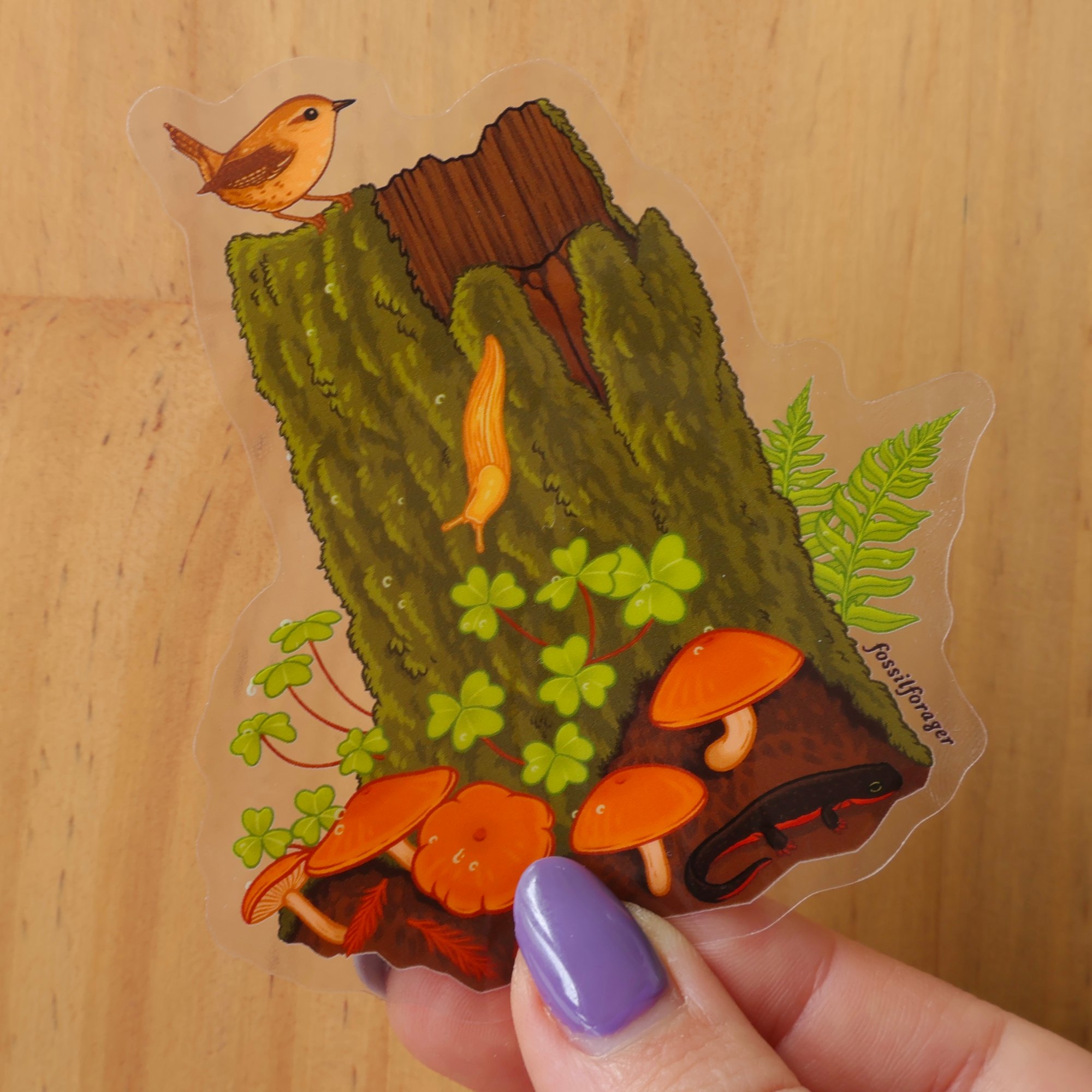 Redwood Ecosystem Sticker *Clear!* | fossilforager
