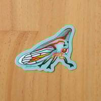 Oak Treehopper Sticker