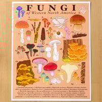 Fungi of Western North America Print 