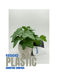 Image 1 of Reggio Plastic Signature Shin Pads