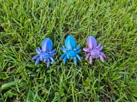 Image 1 of Easter Egg Spiders