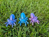 Image 2 of Easter Egg Spiders