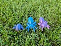 Image 3 of Easter Egg Spiders