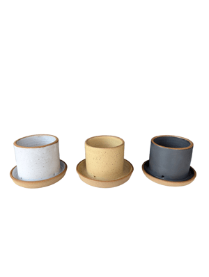 Image of Planters with Attached drainage Plates