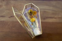 Image 3 of Gold Glass Coffin