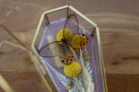 Image 4 of Gold Glass Coffin