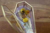 Image 5 of Gold Glass Coffin