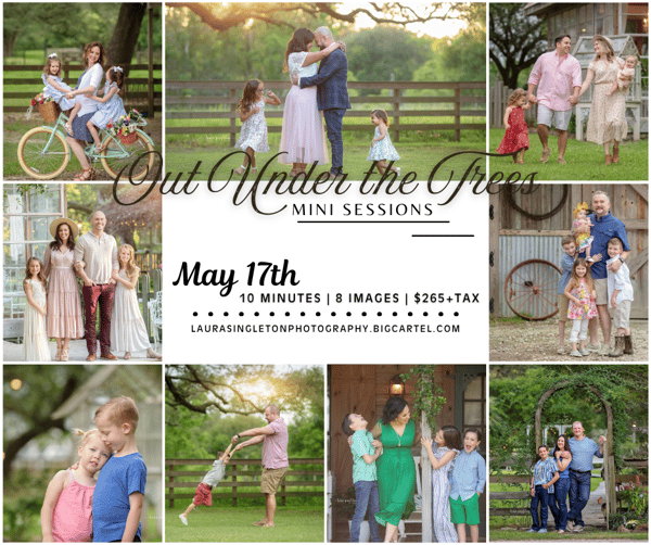 Image of Out Under the Trees Mini Session