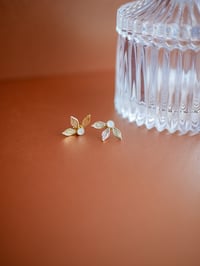 Image 5 of Puces PAO - 4 Coloris