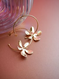 Image 4 of Créoles ODILIE