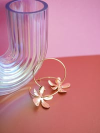 Image 6 of Créoles ODILIE