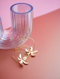 Image 3 of Créoles ODILIE