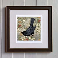 Image 4 of BLACKBIRD HAND DRAWN SIGNED PRINT