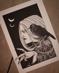 Image 3 of JACKDAW DREAM print