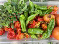 Seasonal Produce Box