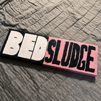 Image 2 of Bed Sludge