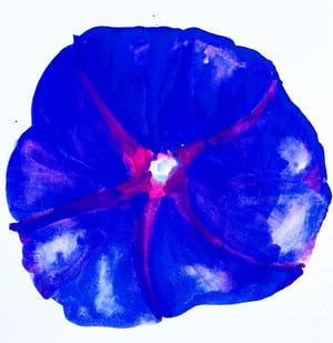 Image of Immortal Blooms ~ Saturday, May 3rd, 1 -4pm