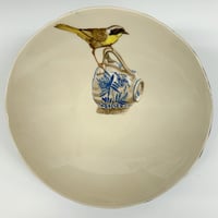 Image 1 of Shard and Yellowthroat Bowl Medium  S25-31