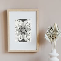 Image 1 of Seed of Creation, Eco Bamboo Fine Art Print