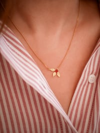 Image 3 of Collier PAO - 4 Coloris