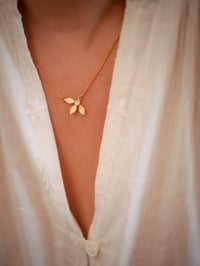 Image 5 of Collier PAO - 4 Coloris