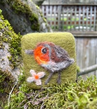 Image 2 of Shy Robin