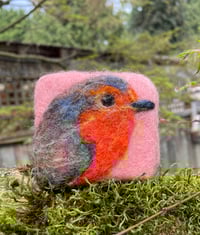 Image 1 of Spring Robin