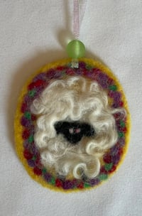 Cute curly sheep