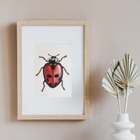 Image 1 of Adonis Ladybug, Eco Bamboo Fine Art Print