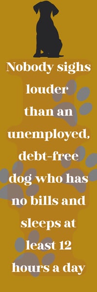 Woe is Dog