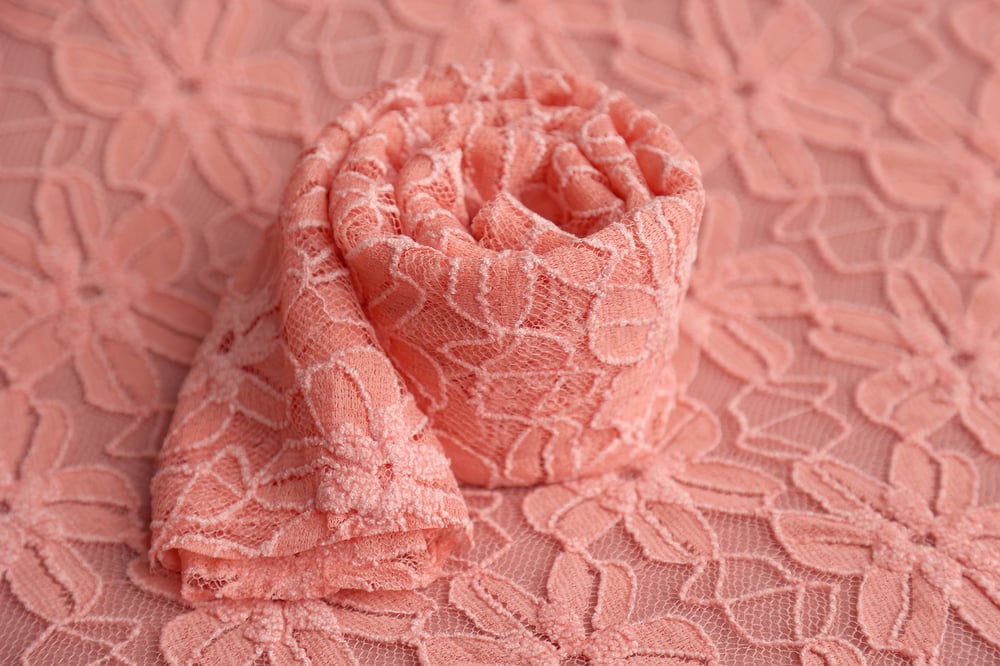 Image of Plush Coral Lace